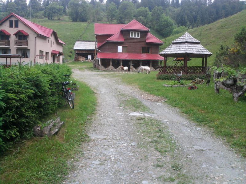 Pensiunea Sofy Arieseni Exterior photo